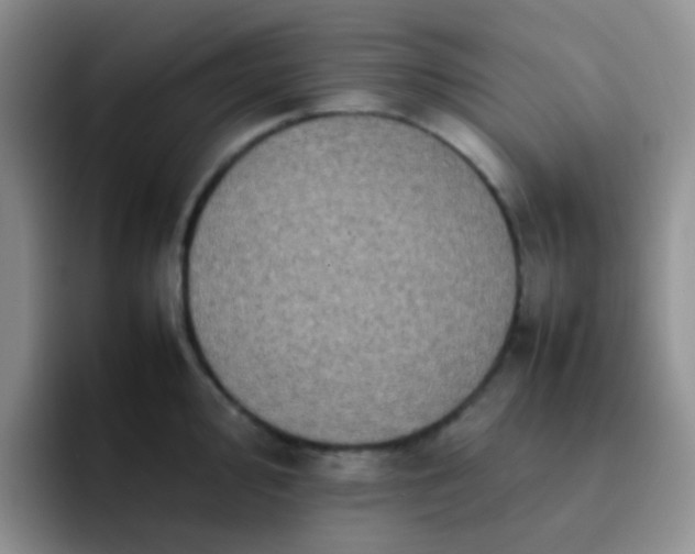 X0000092061000200709262024