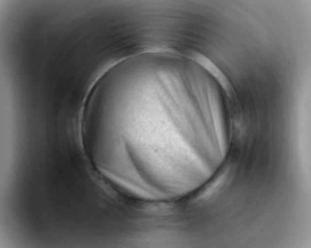 X0000092061002200709262024