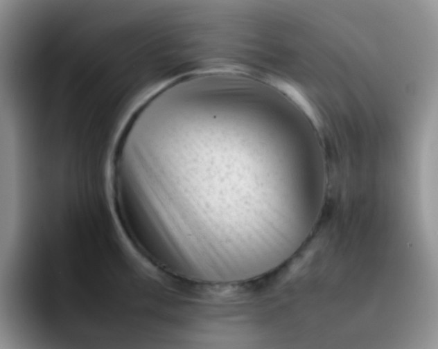 X0000092061003200709262024