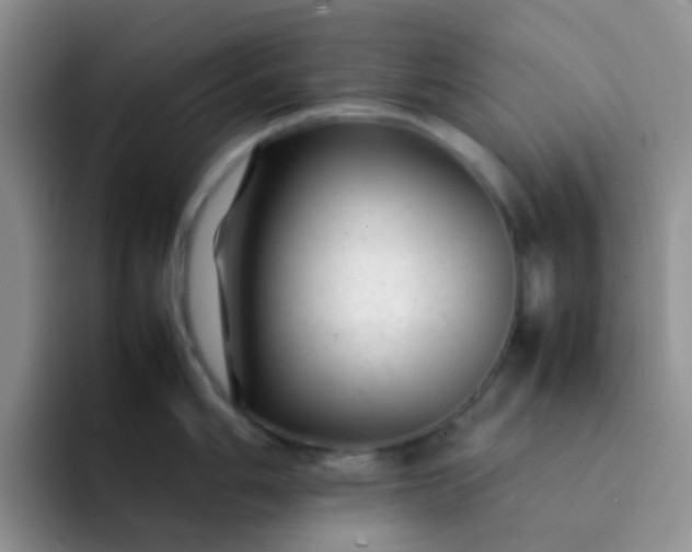 X0000092061006200709262024