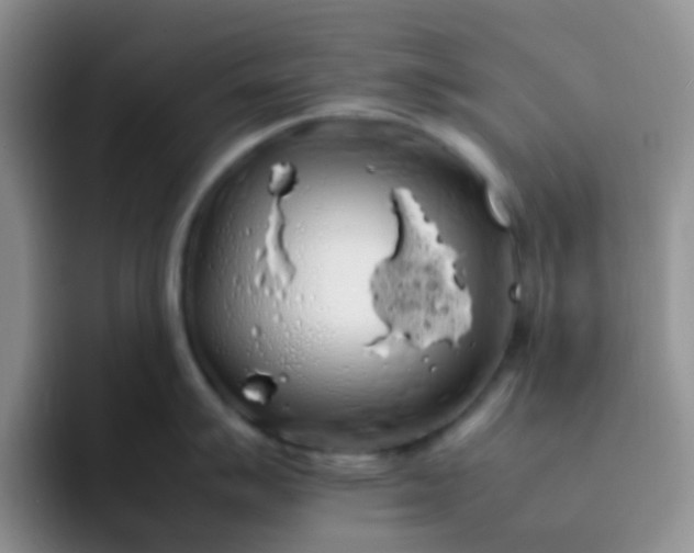 X0000092061007200709262024