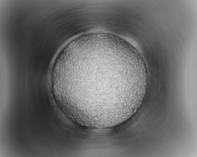 X0000092061008200709262024