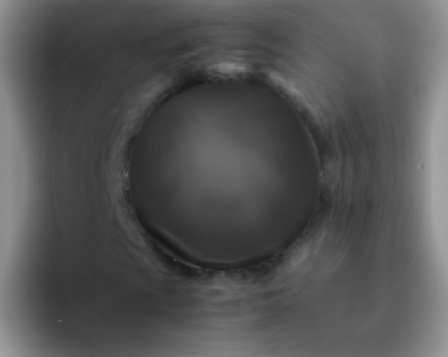 X0000092061009200709262023