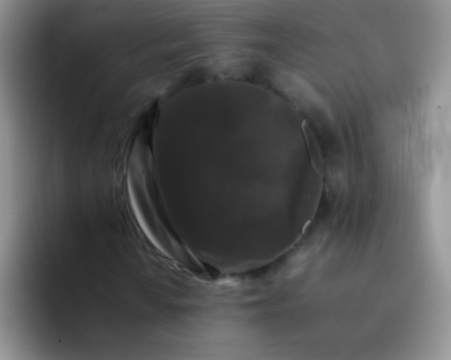 X0000092061010200709262024