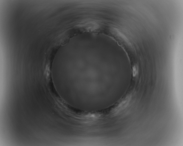 X0000092061011200709262024