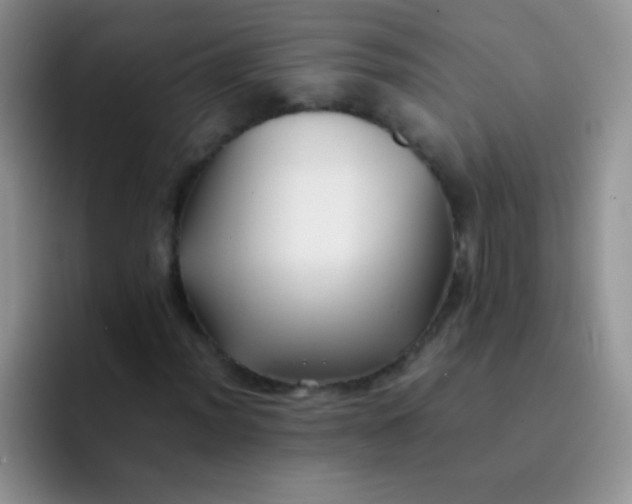 X0000092061012200709262024