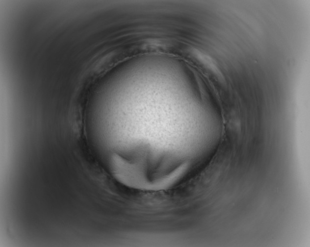 X0000092061015200709262024