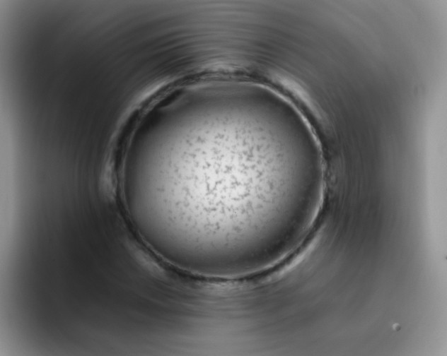 X0000092061018200709262024