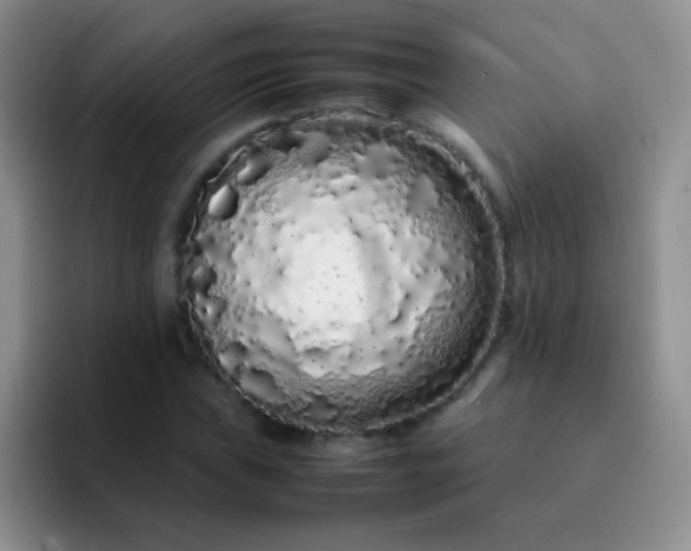 X0000092061019200709262024