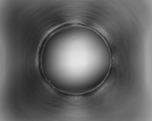 X0000092061020200709262024