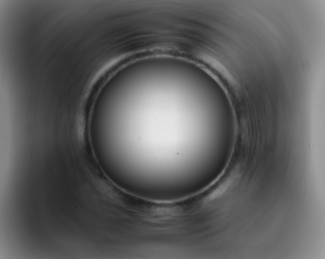 X0000092061021200709262024