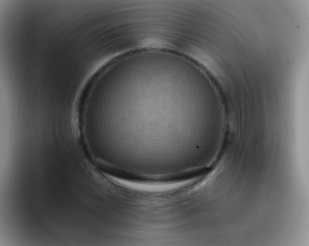 X0000092061022200709262024