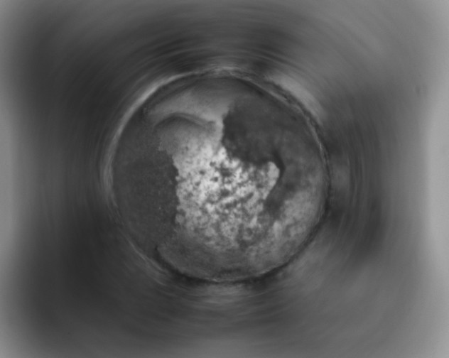 X0000092061023200709262024