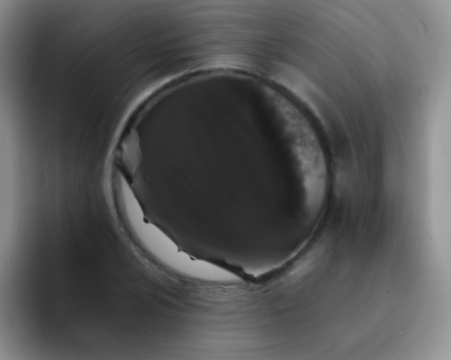 X0000092061024200709262024