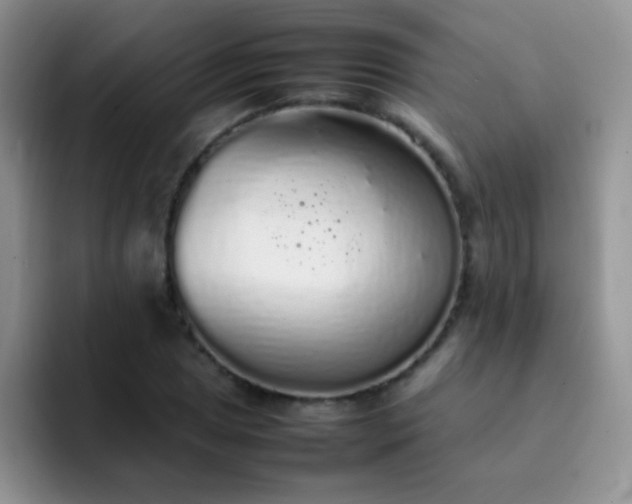 X0000092061025200709262024