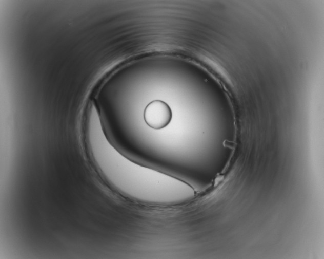 X0000092061026200709262024