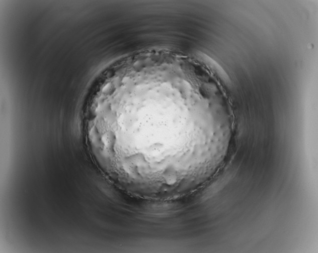 X0000092061027200709262024