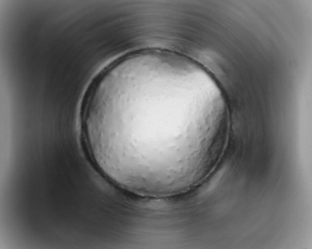 X0000092061028200709262024