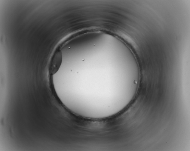 X0000092061029200709262024