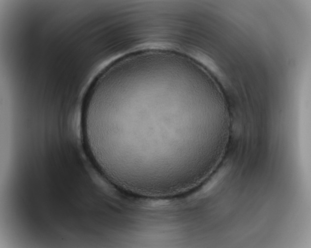 X0000092061030200709262024