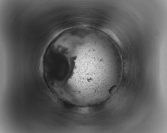 X0000092061031200709262024