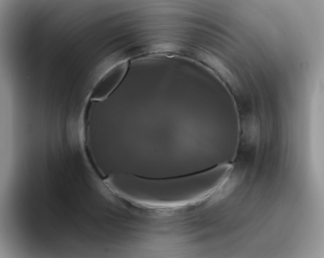 X0000092061034200709262024