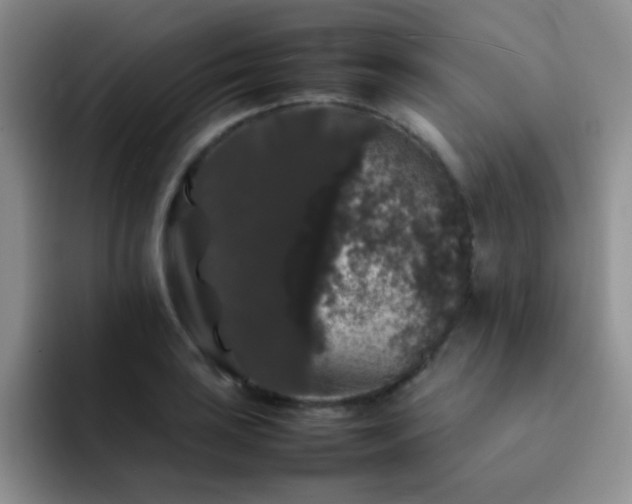 X0000092061035200709262024