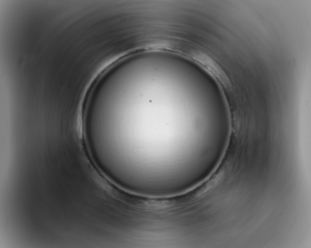 X0000092061036200709262024