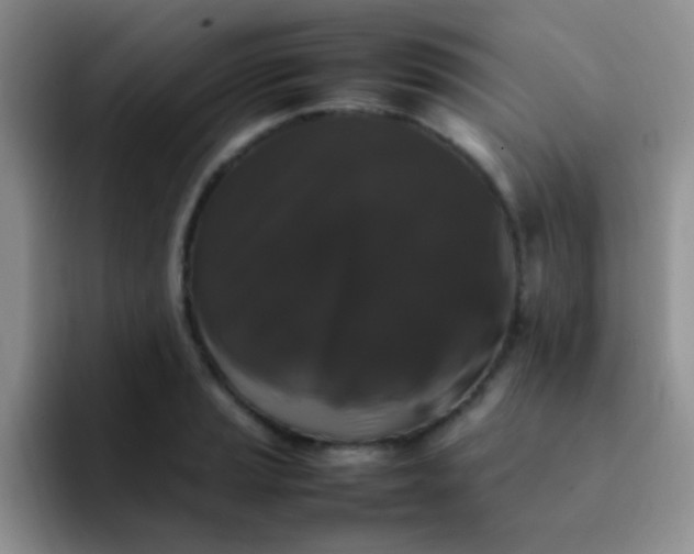 X0000092061037200709262024