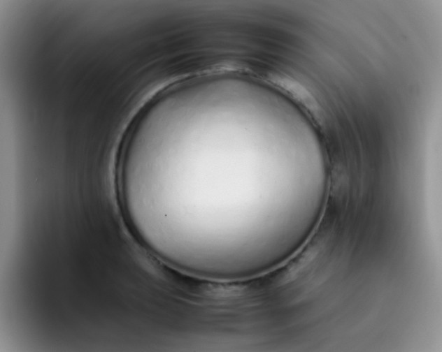 X0000092061039200709262024