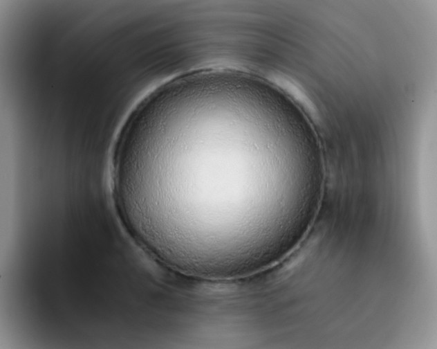 X0000092061040200709262024