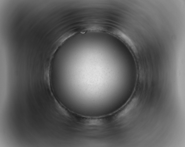 X0000092061041200709262024