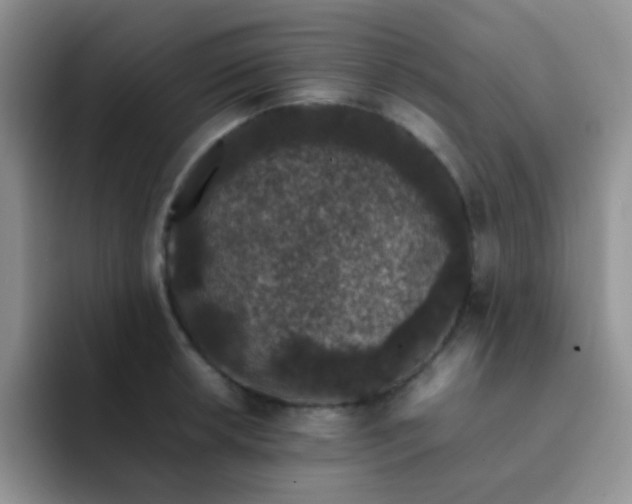 X0000092061042200709262024