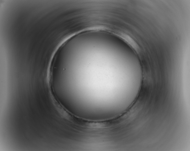 X0000092061044200709262024