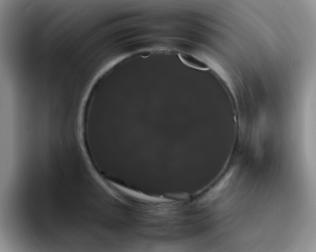 X0000092061045200709262024