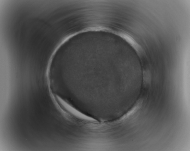 X0000092061046200709262024