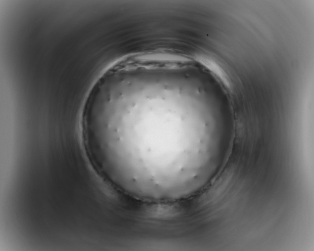 X0000092061047200709262024