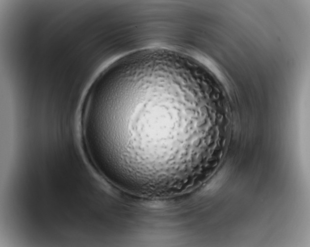 X0000092061048200709262024