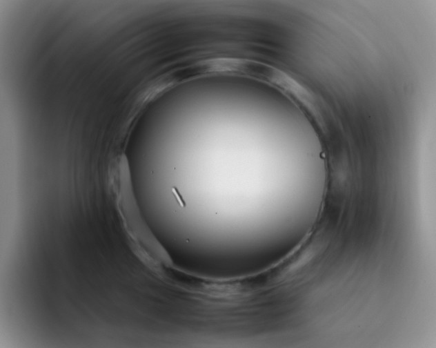 X0000092061049200709262024