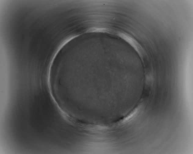 X0000092061050200709262024