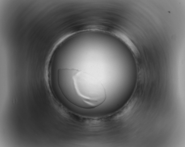 X0000092061051200709262024