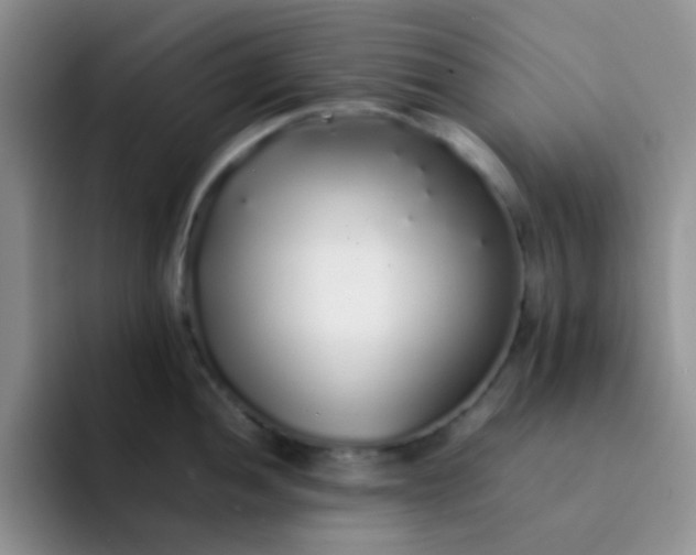 X0000092061052200709262024