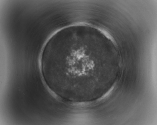 X0000092061054200709262024