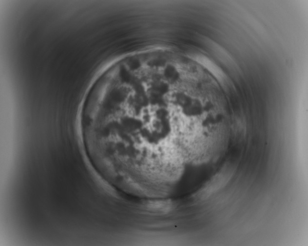 X0000092061055200709262024