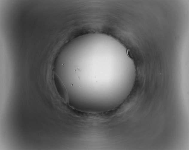 X0000092061057200709262023