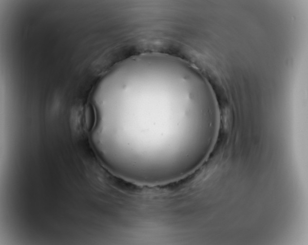 X0000092061059200709262023