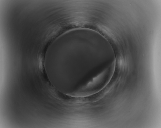 X0000092061060200709262023