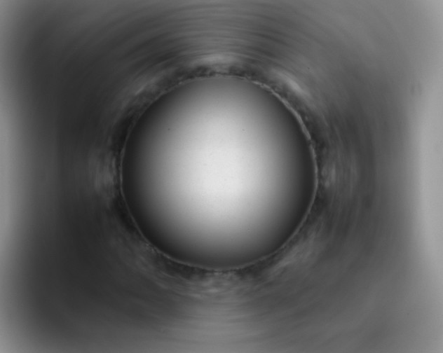 X0000092061062200709262023