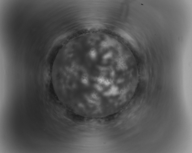 X0000092061063200709262023