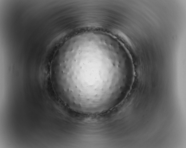 X0000092061064200709262023